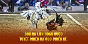 đòn đá liên hoàn cước